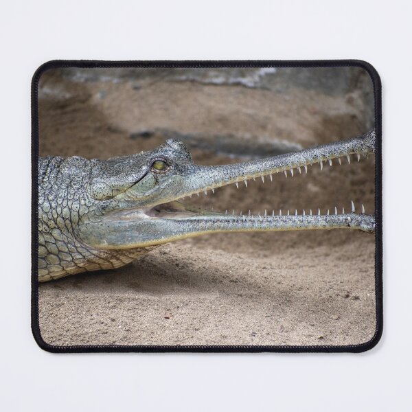 Item preview, Crocodile designed and sold by PicsByDerek.