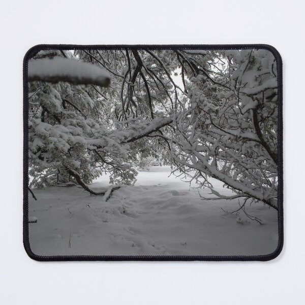 Item preview, Snow Trees designed and sold by PicsByDerek.