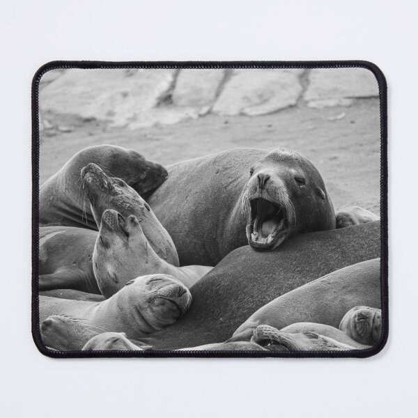 Item preview, Seals designed and sold by PicsByDerek.