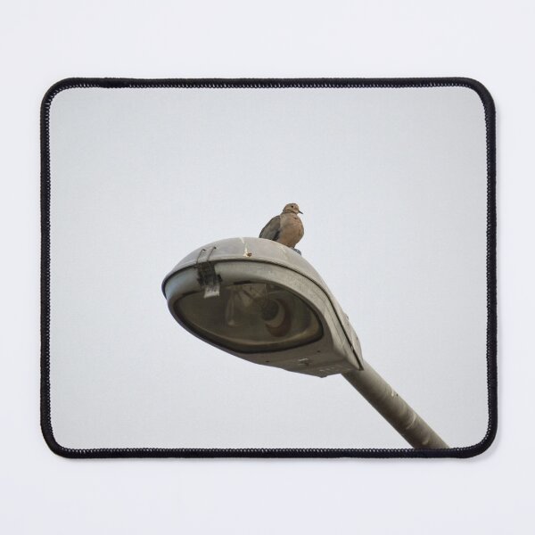 Item preview, Dove designed and sold by PicsByDerek.