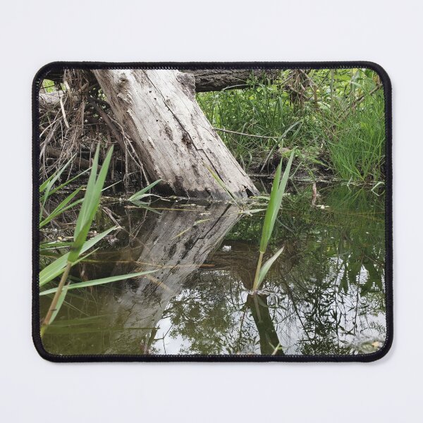 Item preview, Tree Reflection designed and sold by PicsByDerek.