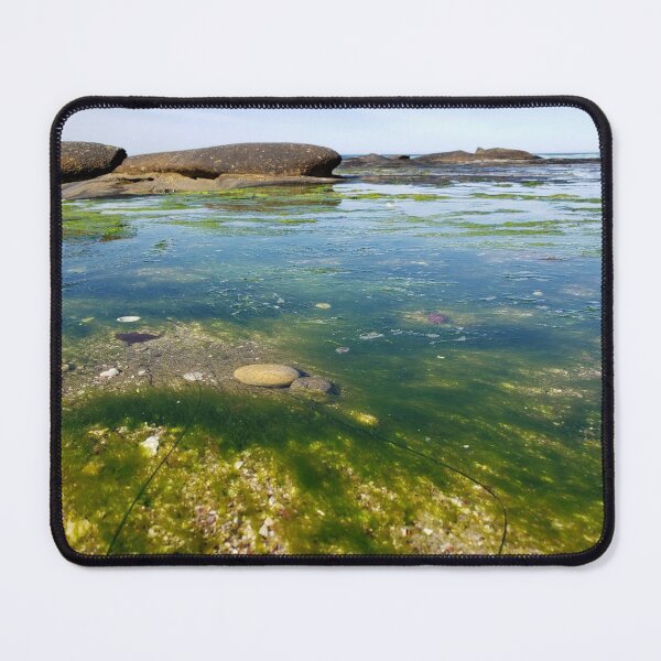 Item preview, Seaweed designed and sold by PicsByDerek.