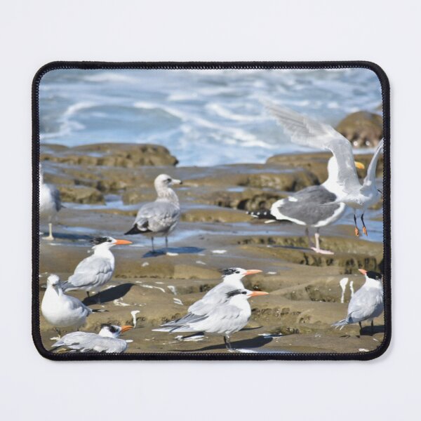 Item preview, Sea Gulls designed and sold by PicsByDerek.