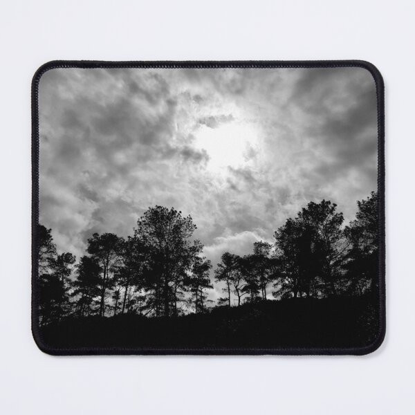 Item preview, Pine Trees designed and sold by PicsByDerek.