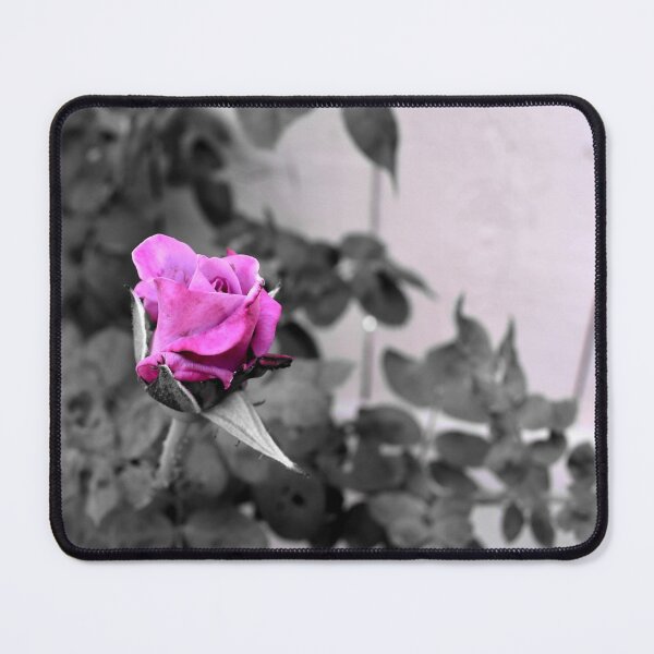 Item preview, Pink Rose designed and sold by PicsByDerek.