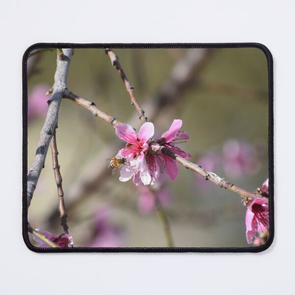 Item preview, Apple Blossoms designed and sold by PicsByDerek.