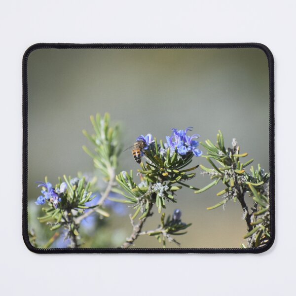 Item preview, Blue Bees designed and sold by PicsByDerek.