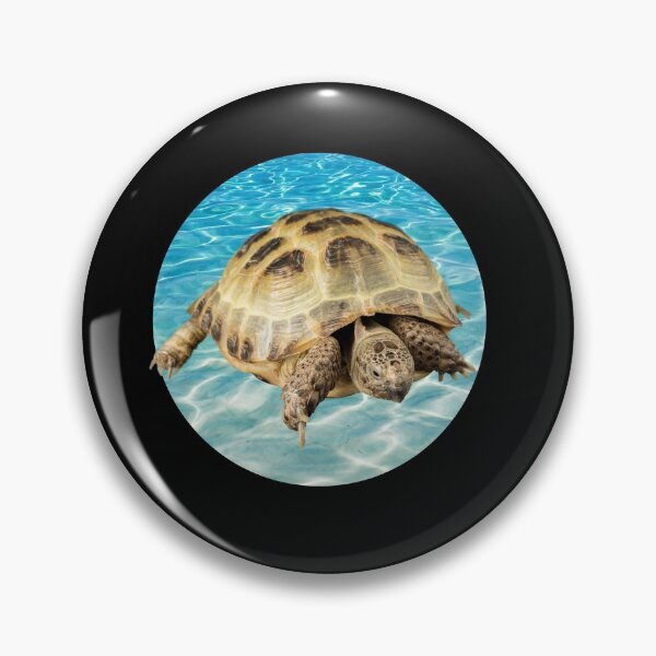 Artikelvorschau, Diese Schildkröte verurteilt er dich entworfen und verkauft von mirzadesign.