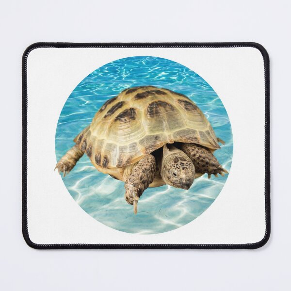 Item preview, This Turtle He Judges You designed and sold by mirzadesign.