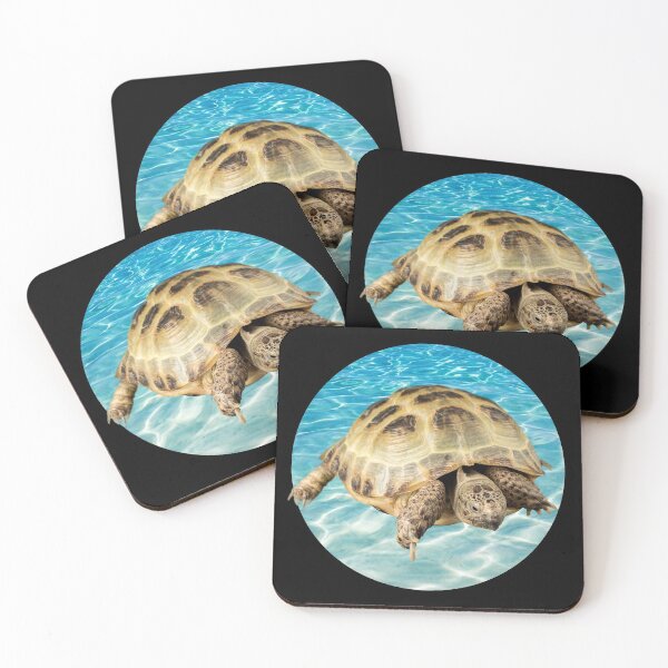 Item preview, This Turtle He Judges You designed and sold by mirzadesign.