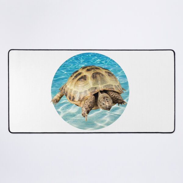 Artikelvorschau, Diese Schildkröte verurteilt er dich entworfen und verkauft von mirzadesign.