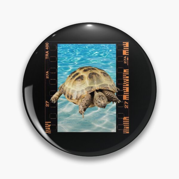 Artikelvorschau, Diese Schildkröte verurteilt er dich entworfen und verkauft von mirzadesign.