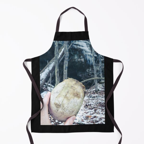 Item preview, Turtle Shell in a Winter Cave designed and sold by AllysiaAltck.