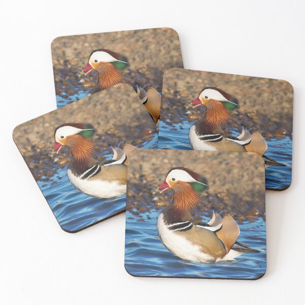 Item preview, Mandarin Duck at the Pond designed and sold by walkswithnature.