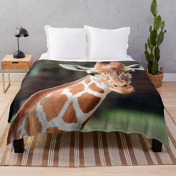 Item preview, Giraffe Photograph | I Love Giraffes | Zoo designed and sold by WeAreGrotesque.