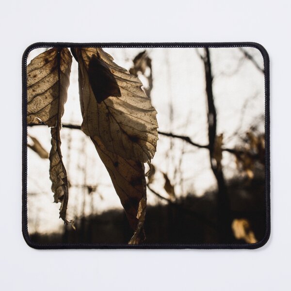 Item preview, Bug Hiding in a Leaf designed and sold by AllysiaAltck.