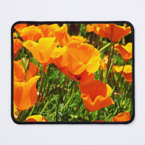Item preview, Colorful California Poppies Photograph designed and sold by Bumblefuzzies.