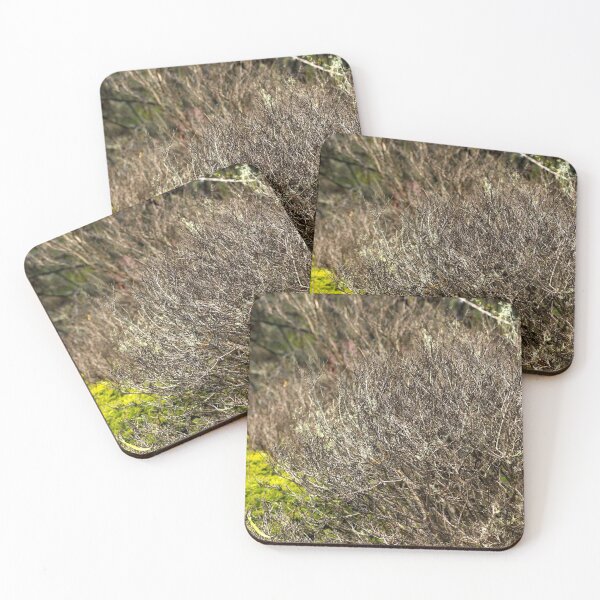 Item preview, Out In The Nature designed and sold by Jodie Cooper.