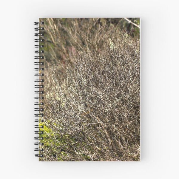 Item preview, Out In The Nature designed and sold by Jodie Cooper.