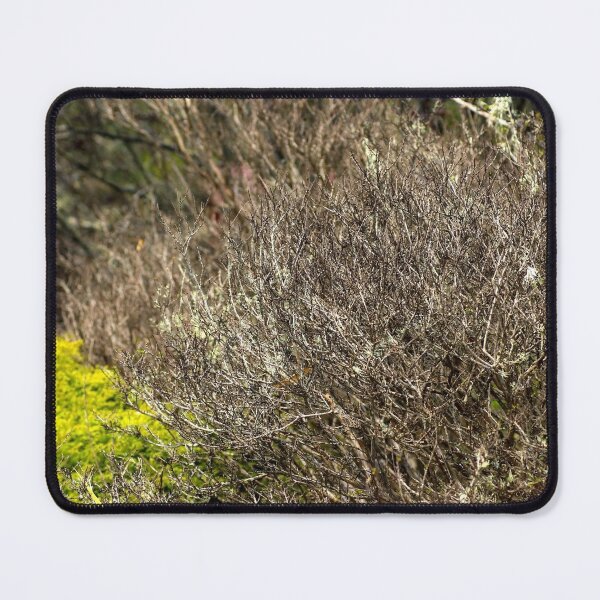 Item preview, Out In The Nature designed and sold by Jodie Cooper.