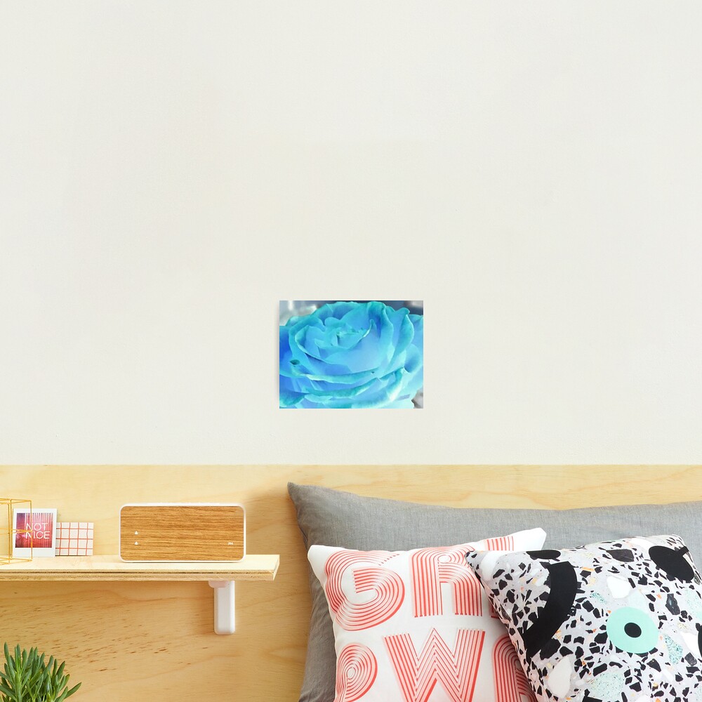 Item preview, Photographic Print designed and sold by BOLLA67.