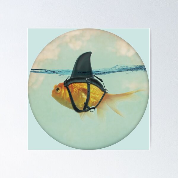 Item preview, Goldfish with a Shark Fin designed and sold by Vin  Zzep.