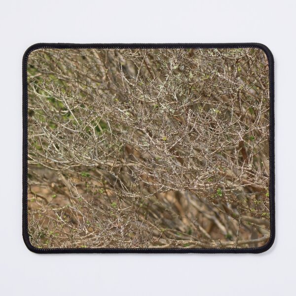 Item preview, Close designed and sold by Jodie Cooper.