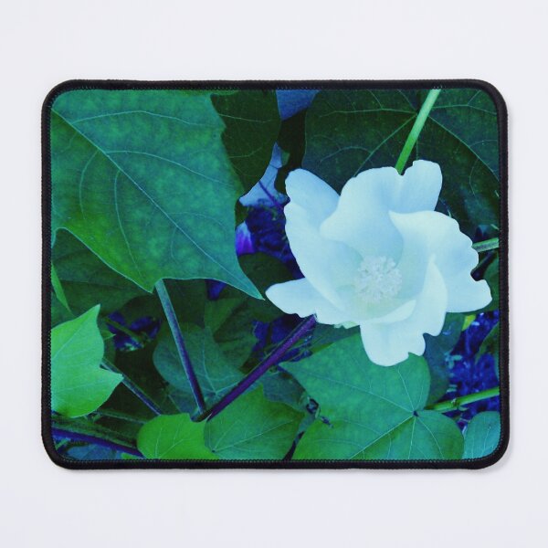 Item preview, Cotton Blossom designed and sold by EloiseArt.