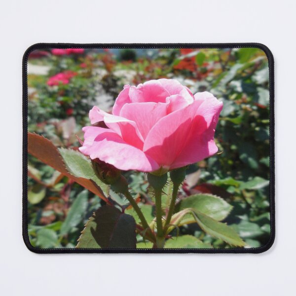 Item preview, Roses Near a Country House designed and sold by EloiseArt.
