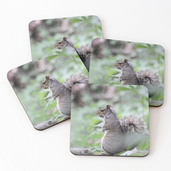 Item preview, STILL designed and sold by BOLLA67.