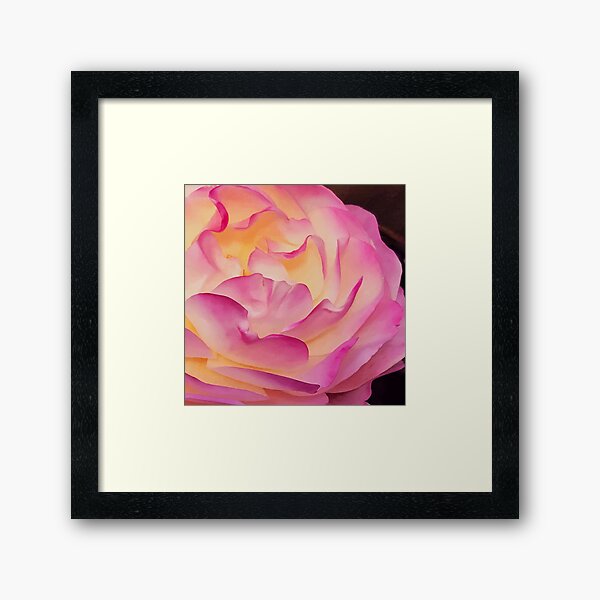 Item preview, Pink Flower With Chic Yellow Highlights Close-Up  designed and sold by DEC02.