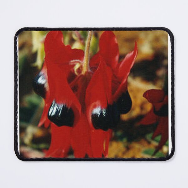 Item preview, Red & Black Sturt Desert Pea designed and sold by Rosdenphoto.