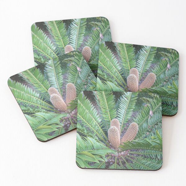 Item preview, Cycad Plant designed and sold by LizEllisPhotos.