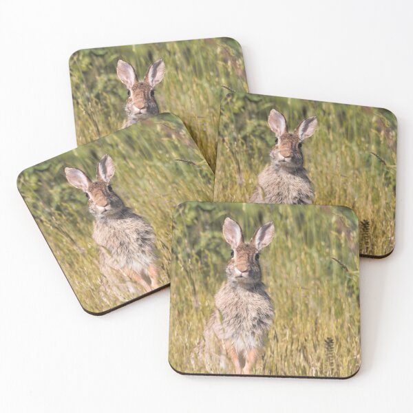 Item preview, Ears Lookin' at You, Kid: Curious Eastern Cottontail Rabbit designed and sold by walkswithnature.