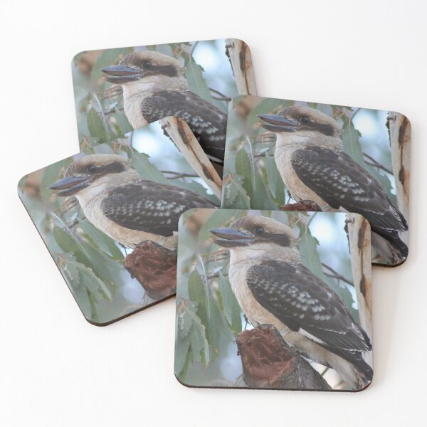 Item preview, Kookaburra descarado designed and sold by NikkandNellz.