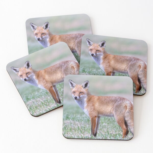 Item preview, Posing red fox designed and sold by DaveBassett.