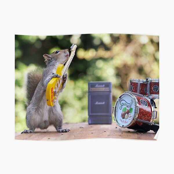 Rock and roll squirrel with guitar Poster