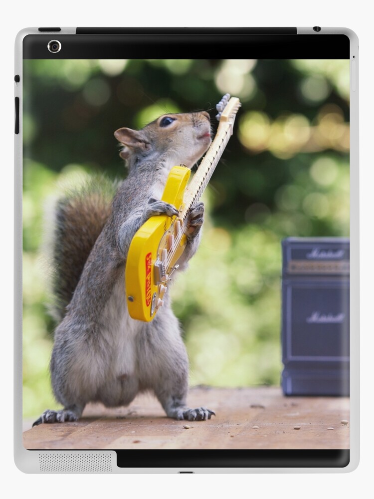 Cute squirrel - animals with clothes  iPad Case & Skin for Sale by Sunset  Design