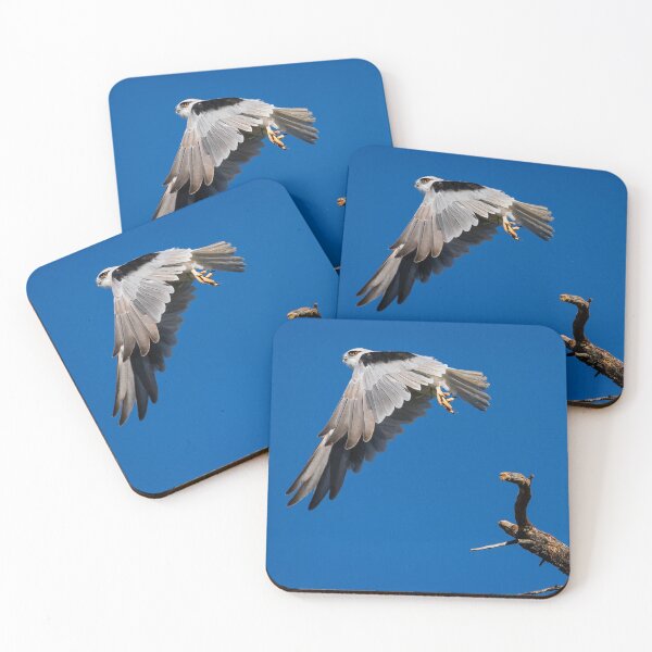 Item preview, Black Shouldered Kite. designed and sold by DaveBassett.