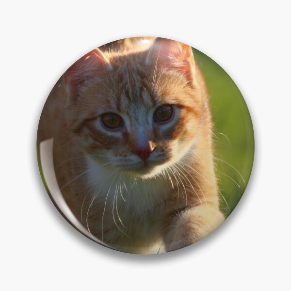 Artikelvorschau, süße Katze1 entworfen und verkauft von Moodzz.
