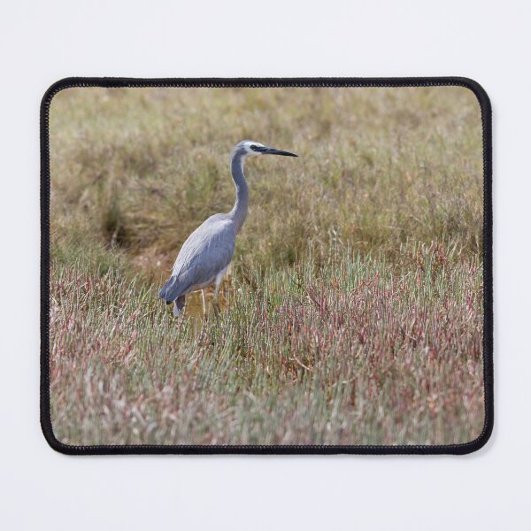 Item preview, White-faced Heron (Egretta novaehollandiae) designed and sold by Trent Townsend.