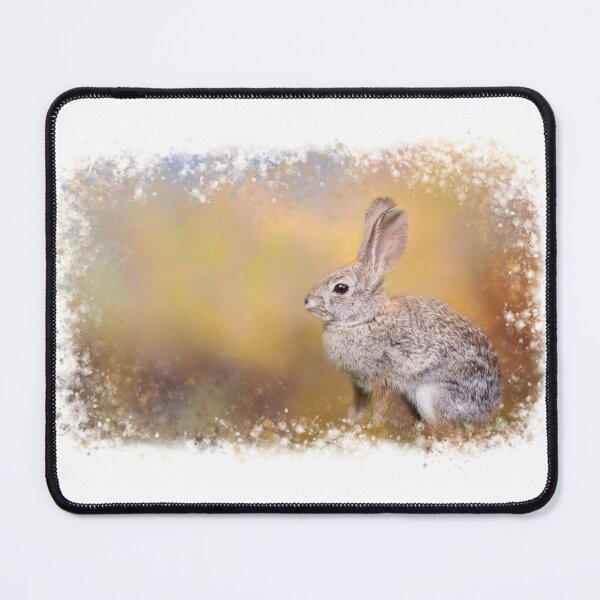 Item preview, Spring Rabbit designed and sold by Elisabeth Lucas.