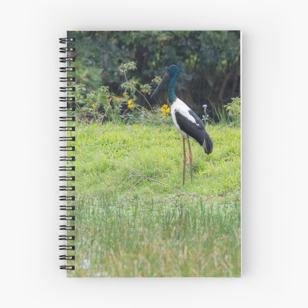 Item preview, Black-necked stork (Ephippiorhynchus asiaticus) standing beside a pond designed and sold by Trent Townsend.