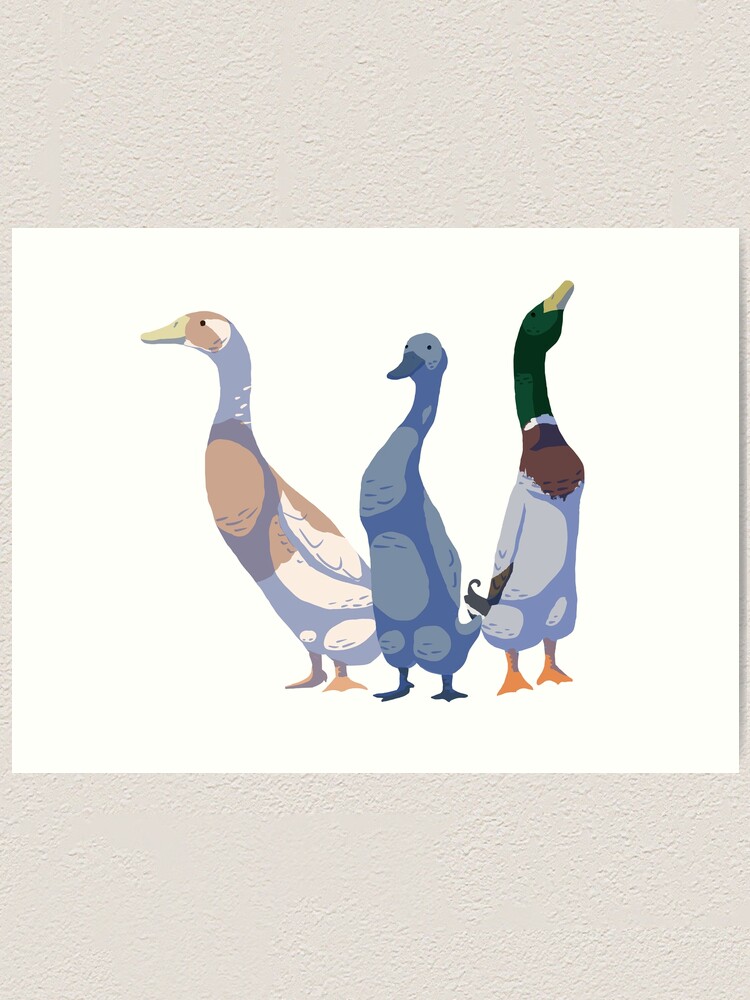 Trio of Runners popular - Colourful Original Watercolour Painting of Runner Ducks