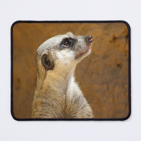 Item preview, Suricate designed and sold by aerishie.