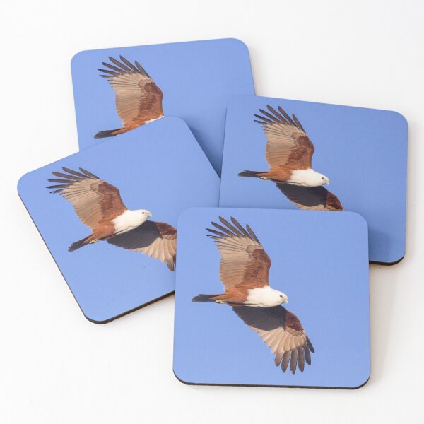 Item preview, Brahminy Kite (Haliastur indus) in flight against a blue sky. designed and sold by Trent Townsend.