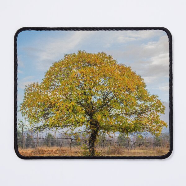 Item preview, Eurobin from Bright and Surrounds, Victoria, Australia designed and sold by Vicki Walsh.