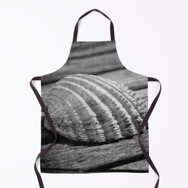 Item preview, Half a sea shell on wood designed and sold by Dave Hare Photography.
