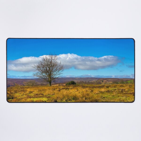 Item preview, Moorland tree designed and sold by Dave Hare Photography.