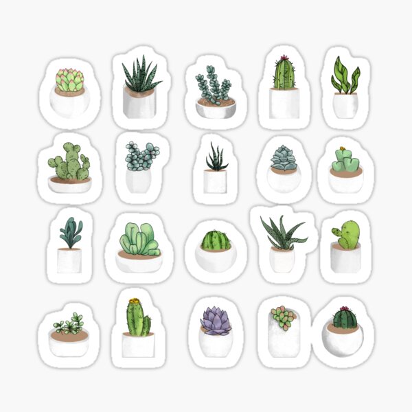 Succulents Sticker for Sale by katherineblower